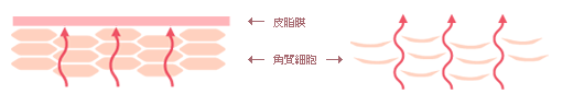 乾燥